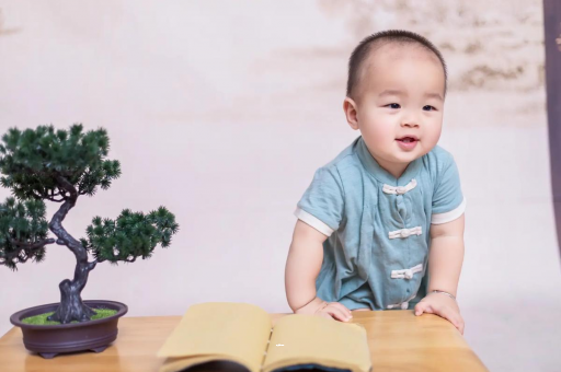桐城可爱的企鹅宝宝